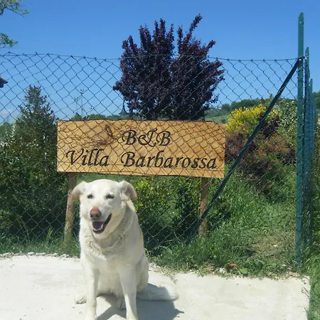 Barbarossa