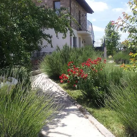 Barbarossa Petrignano