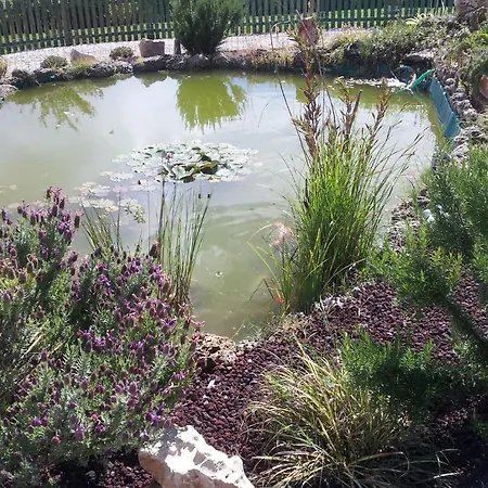 Barbarossa Landsted *