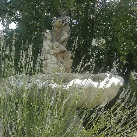 Barbarossa * Petrignano