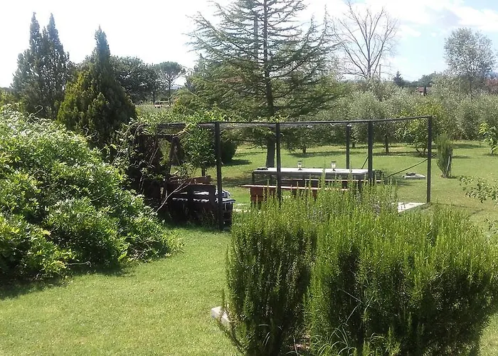 Barbarossa Petrignano