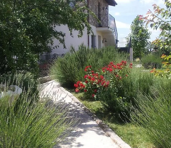 Barbarossa Petrignano